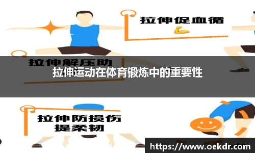 拉伸运动在体育锻炼中的重要性